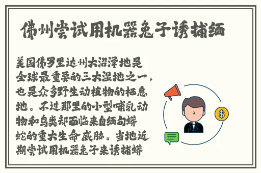 国民老公带回家电视剧